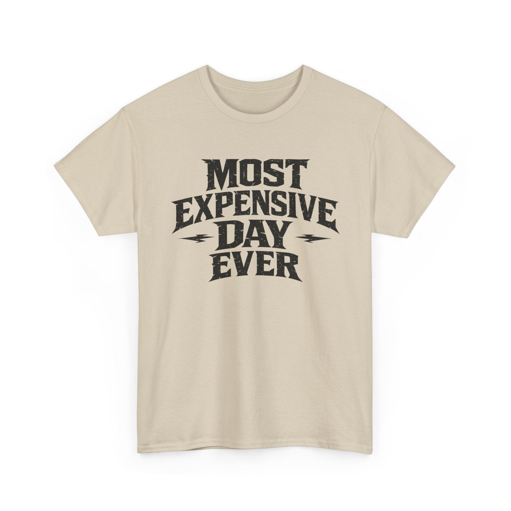 Theme Park Tee — "Most Expensive Day Ever" Graphic Shirt
