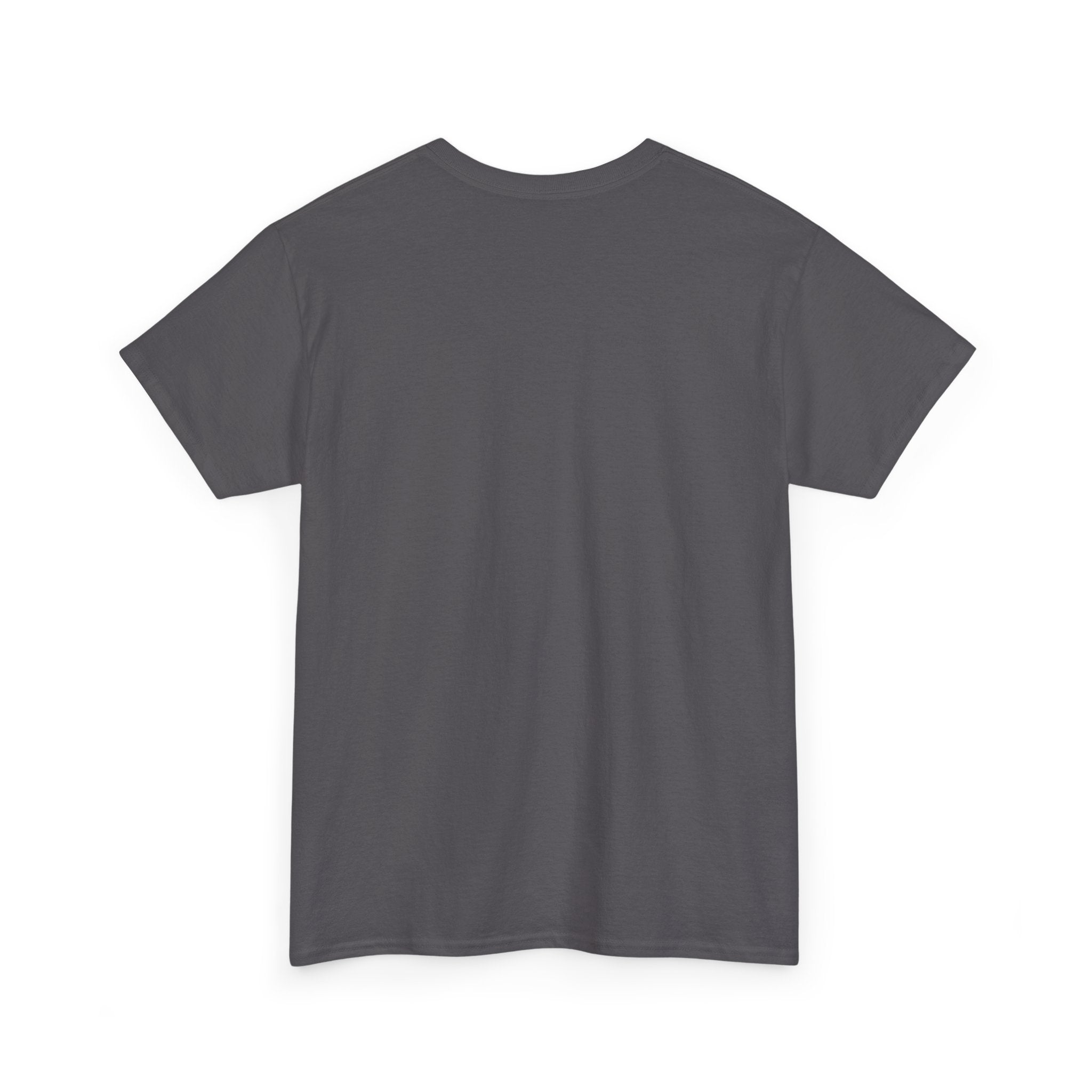 Cinderella Theme Park T-Shirt — Fairy Tale Castle Tee