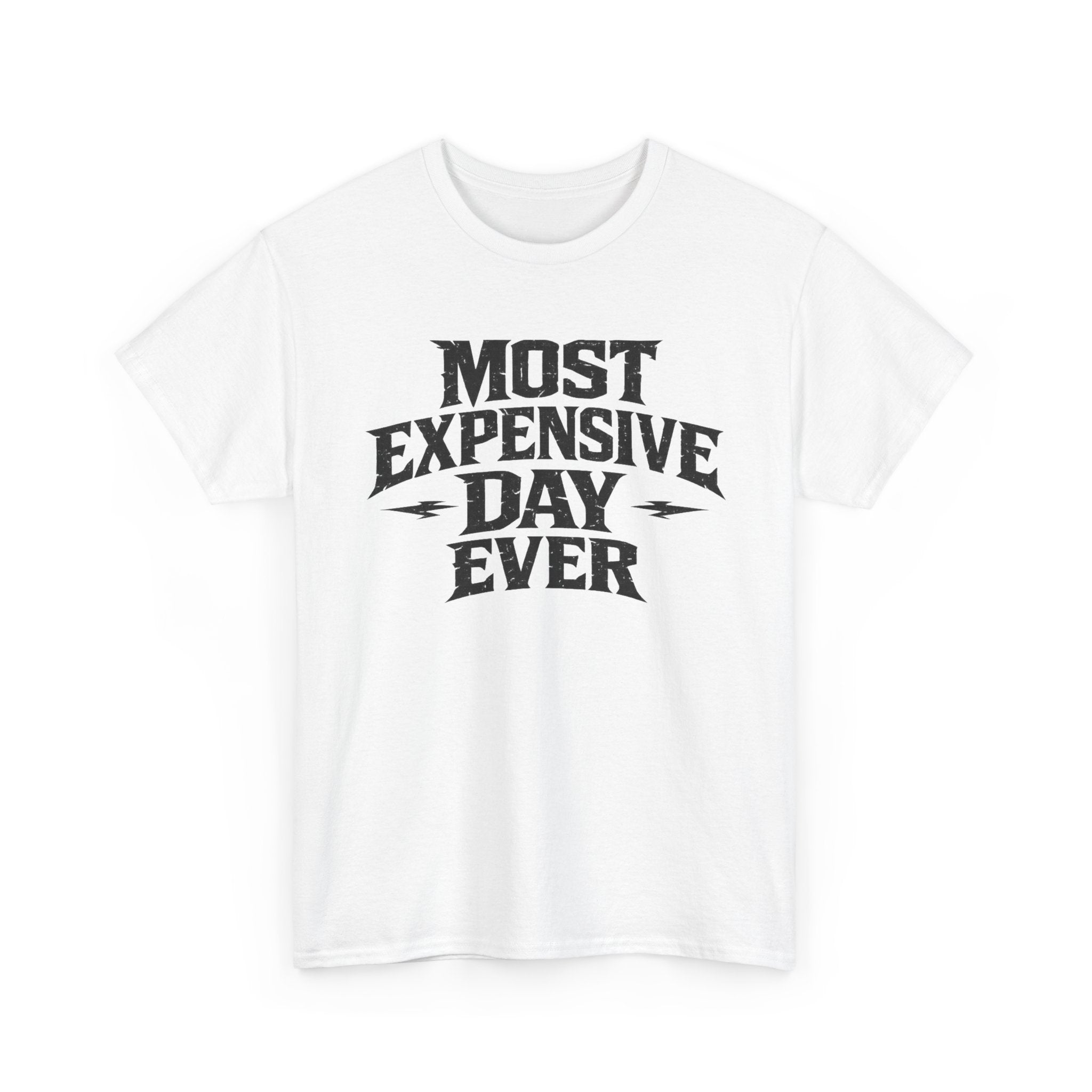 Theme Park Tee — "Most Expensive Day Ever" Graphic Shirt
