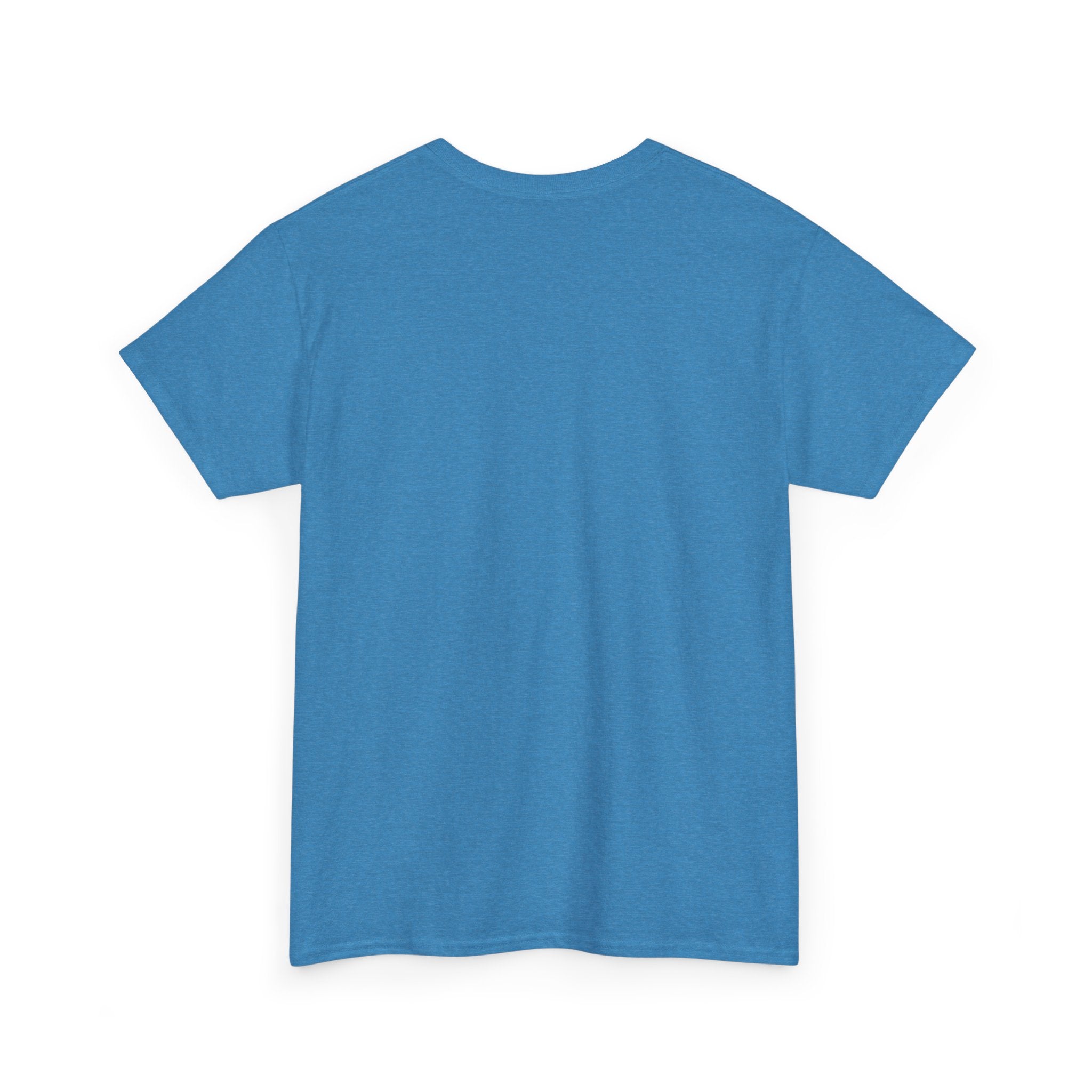 Theme Park Tee — "Most Expensive Day Ever" Graphic Shirt