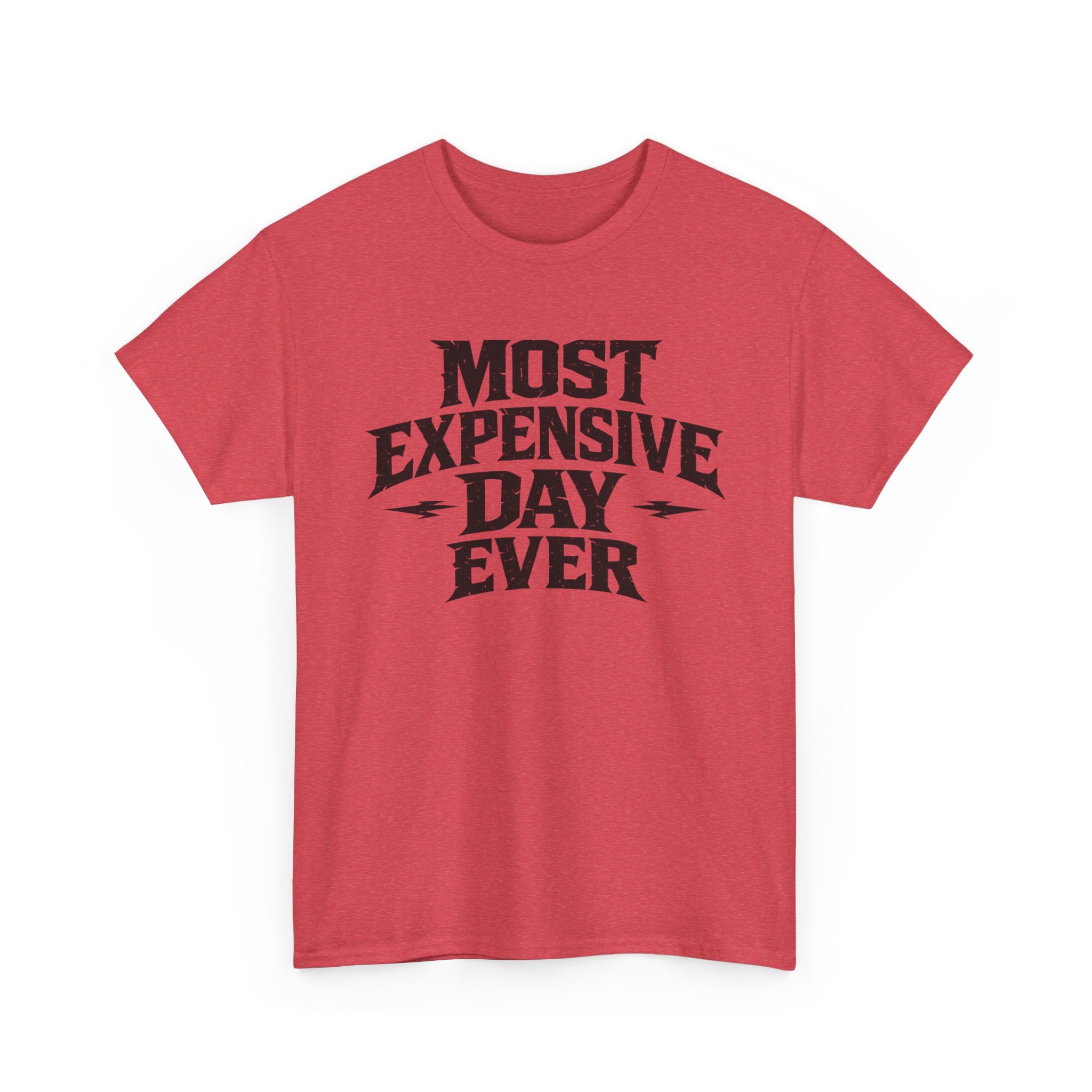 Theme Park Tee — "Most Expensive Day Ever" Graphic Shirt