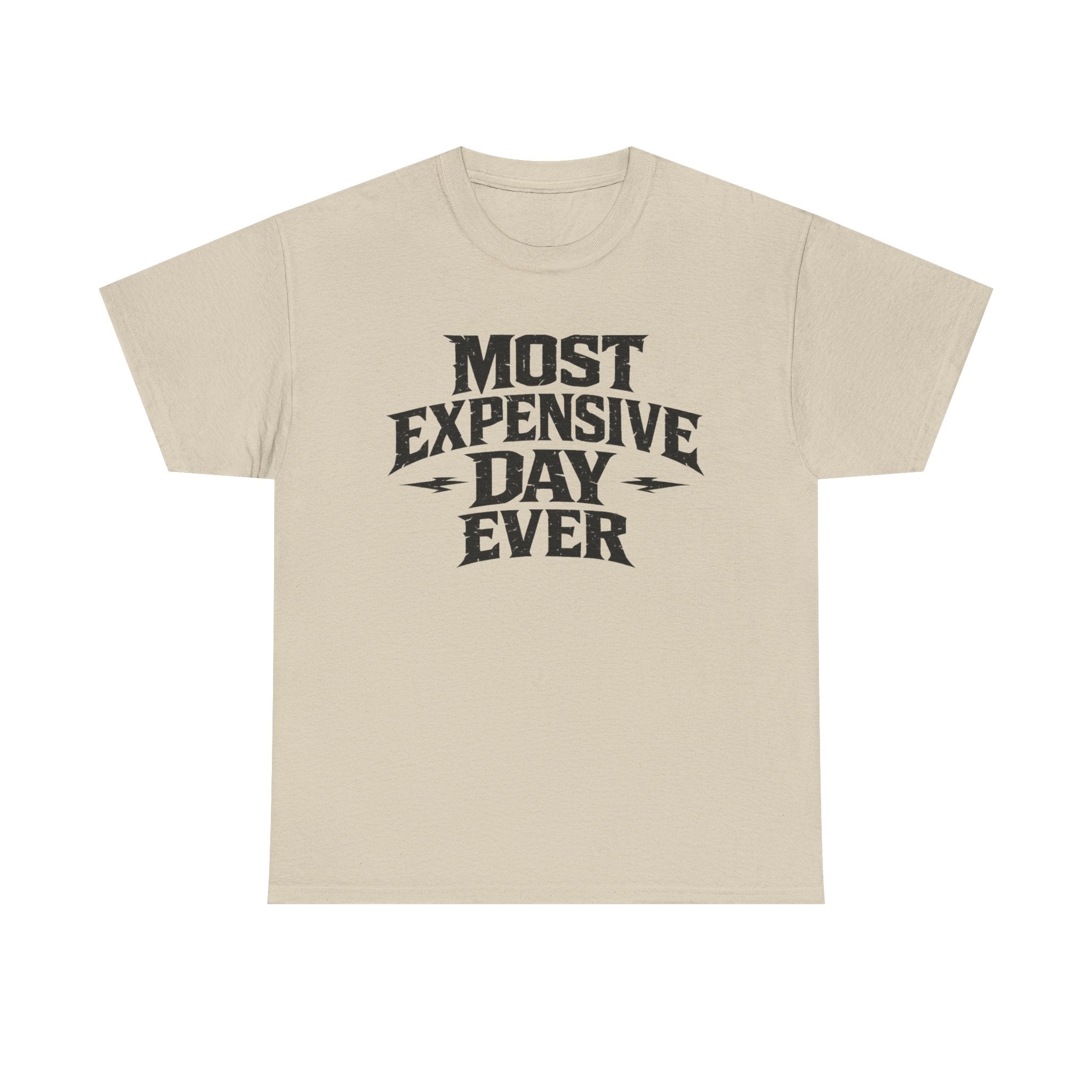 Theme Park Tee — "Most Expensive Day Ever" Graphic Shirt
