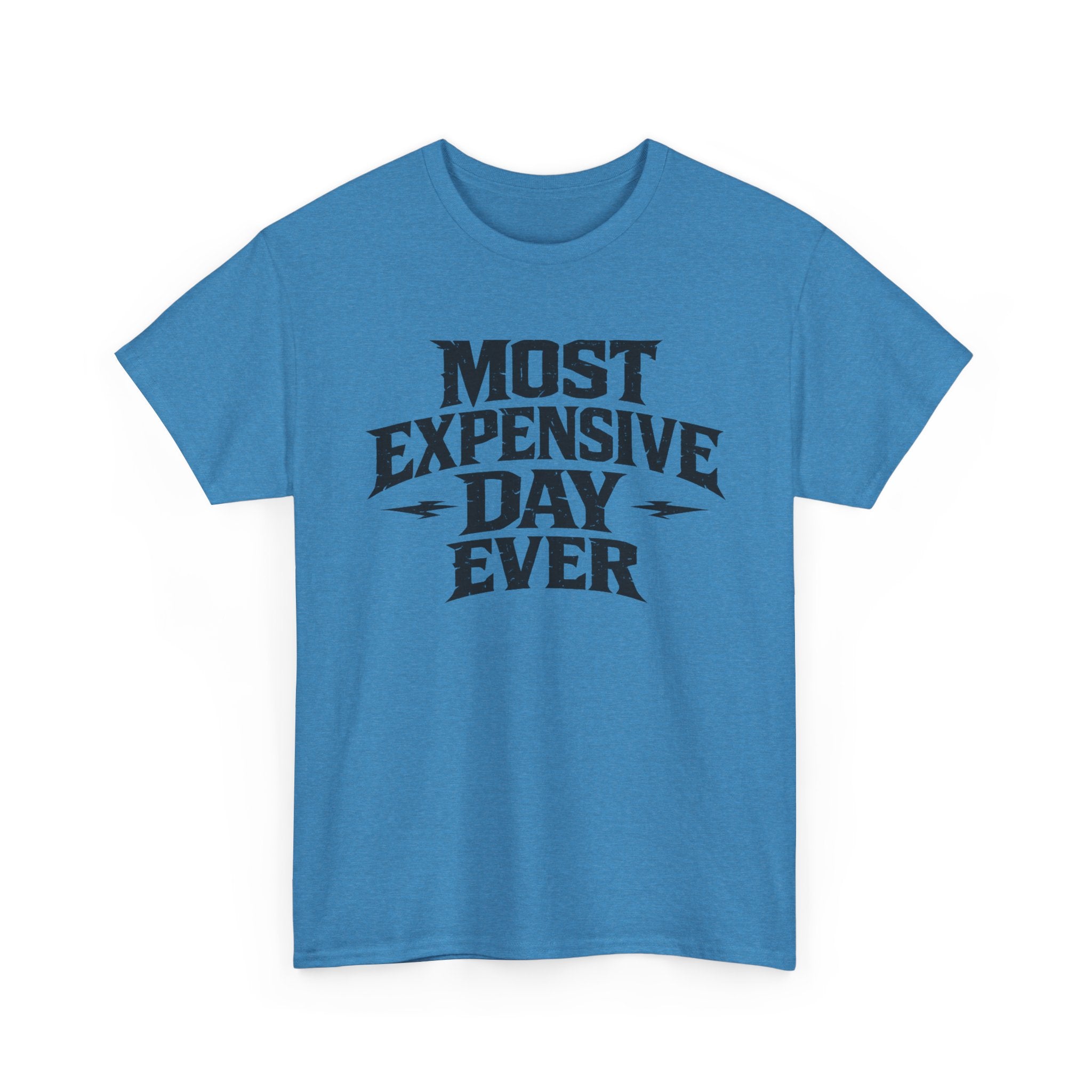 Theme Park Tee — "Most Expensive Day Ever" Graphic Shirt