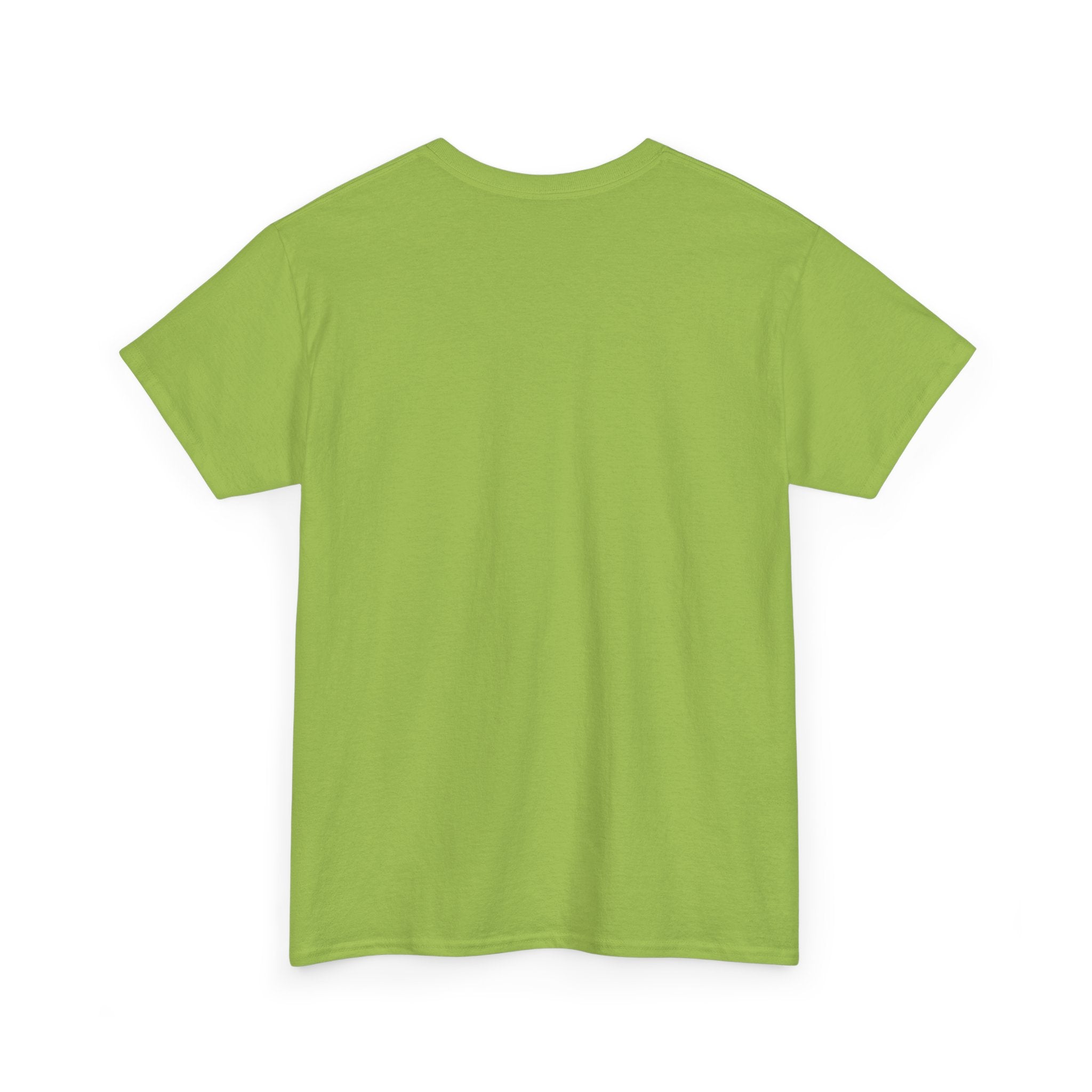 Princess and the Frog Theme Park T-Shirt — Fairy Tale Disney Ride Tee