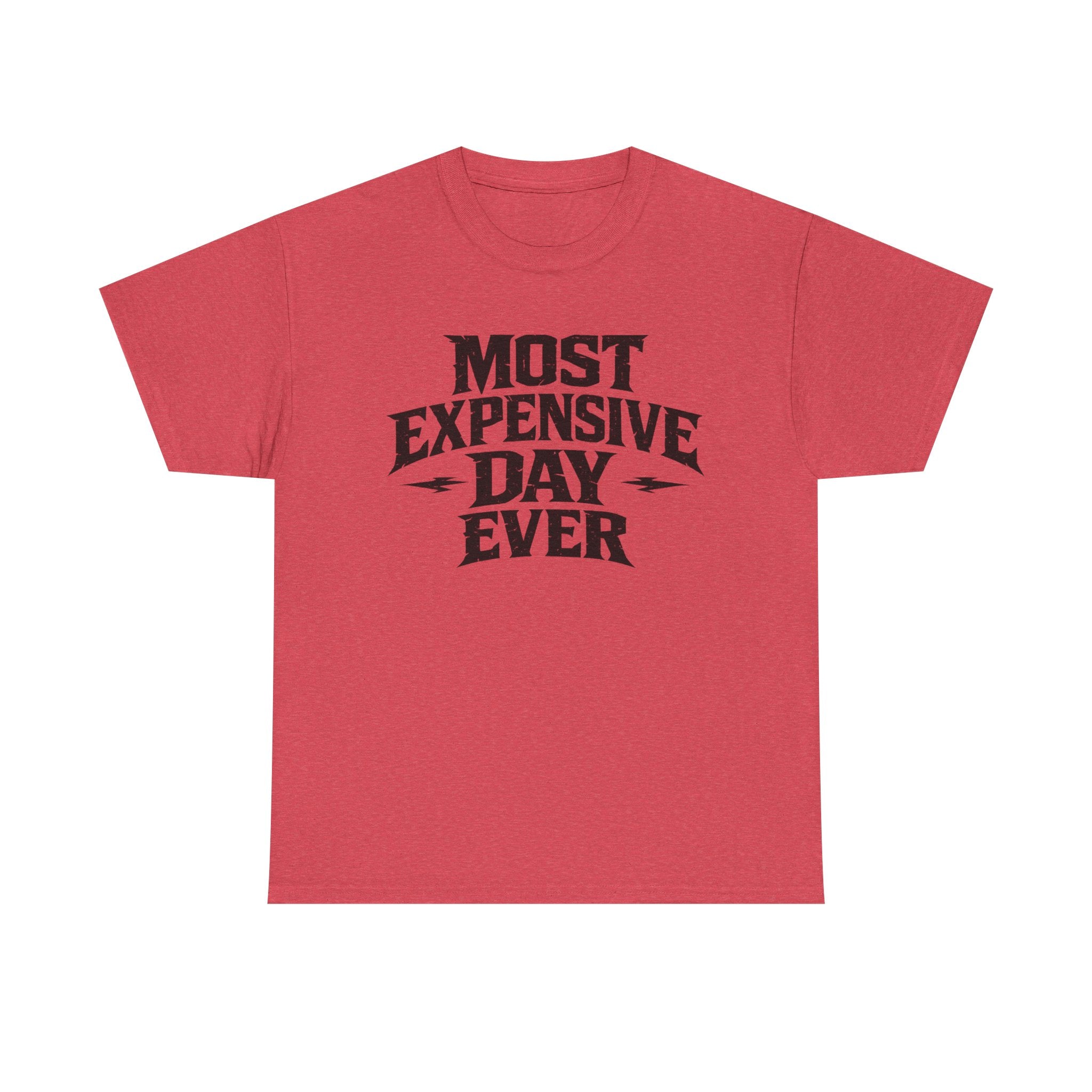 Theme Park Tee — "Most Expensive Day Ever" Graphic Shirt