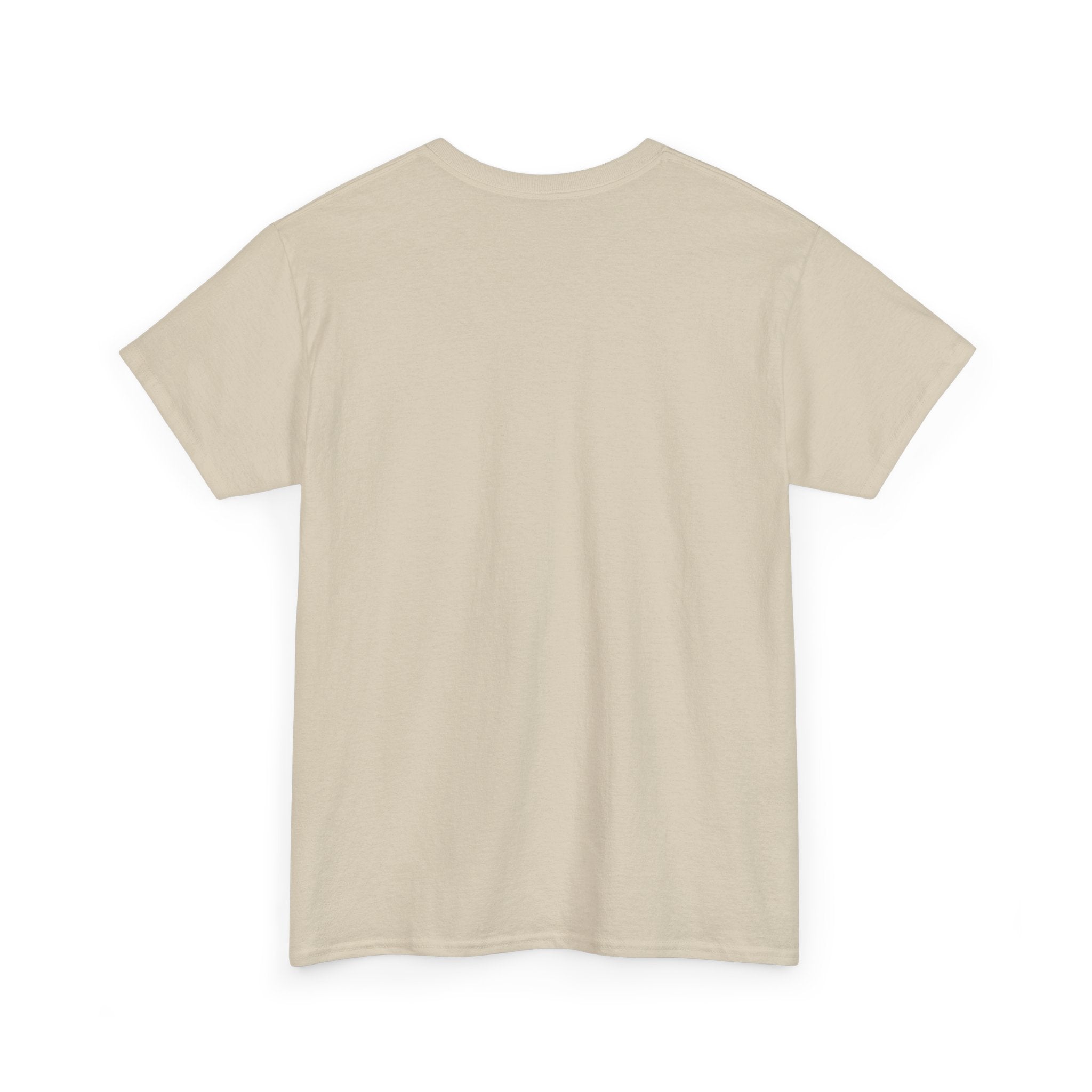 Pluto Theme Park T-Shirt — Minimalist Graphic Tee