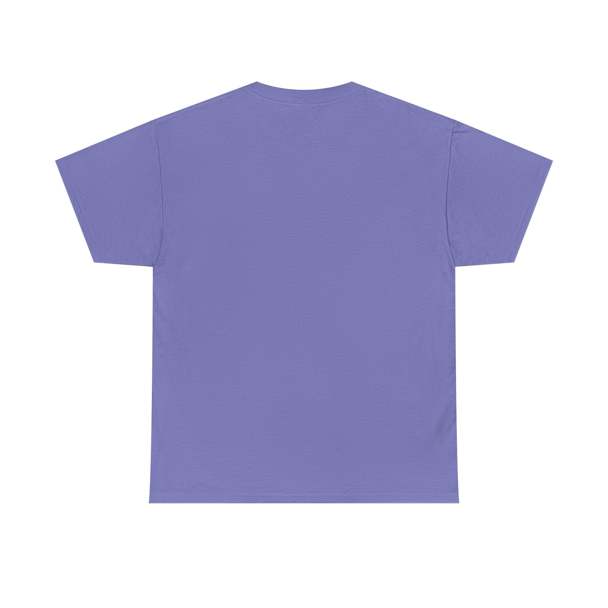 Elsa Theme Park T-Shirt — Frozen-Inspired Park Shirt