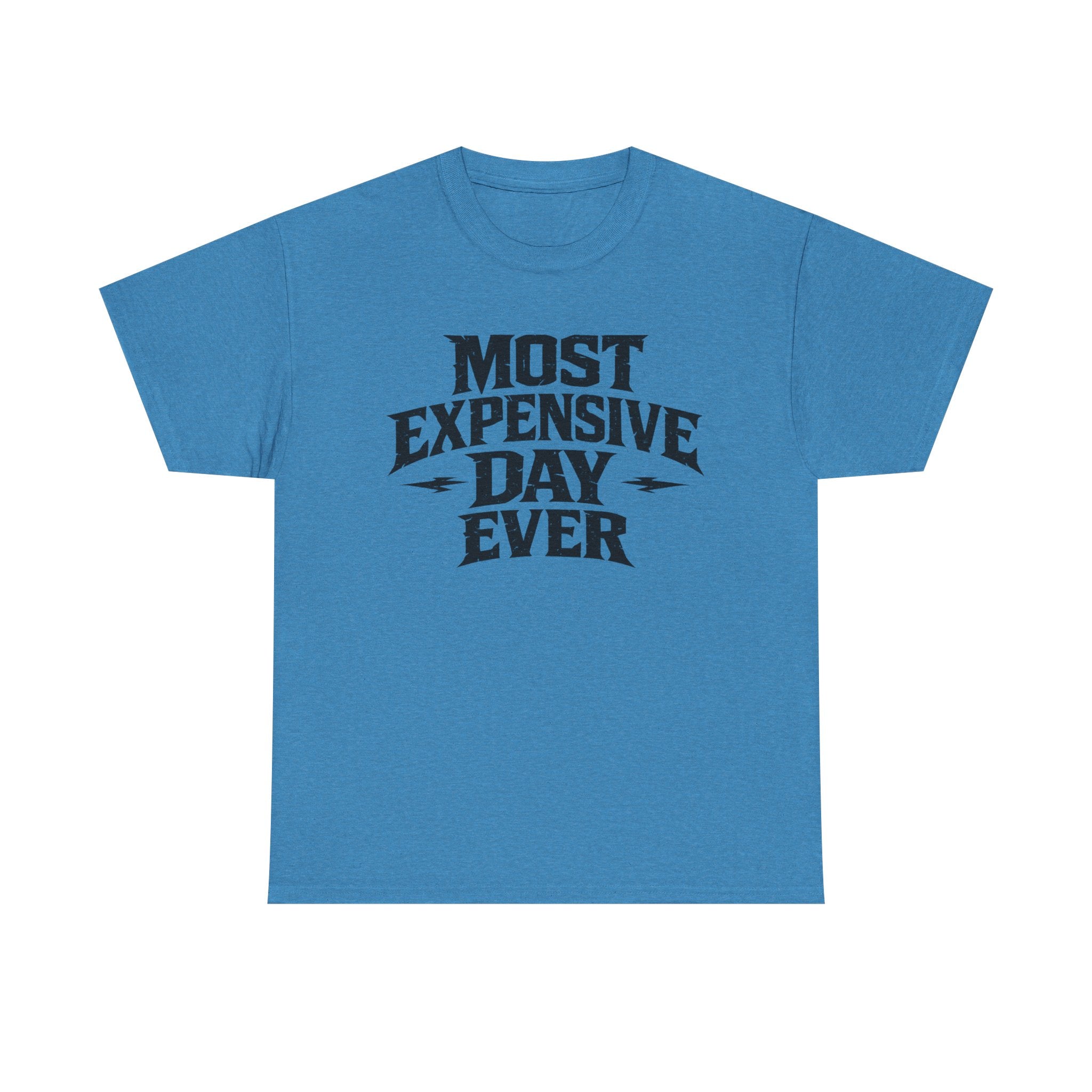 Theme Park Tee — "Most Expensive Day Ever" Graphic Shirt